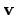 ${\bf v}$