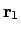 ${\bf r}_1$